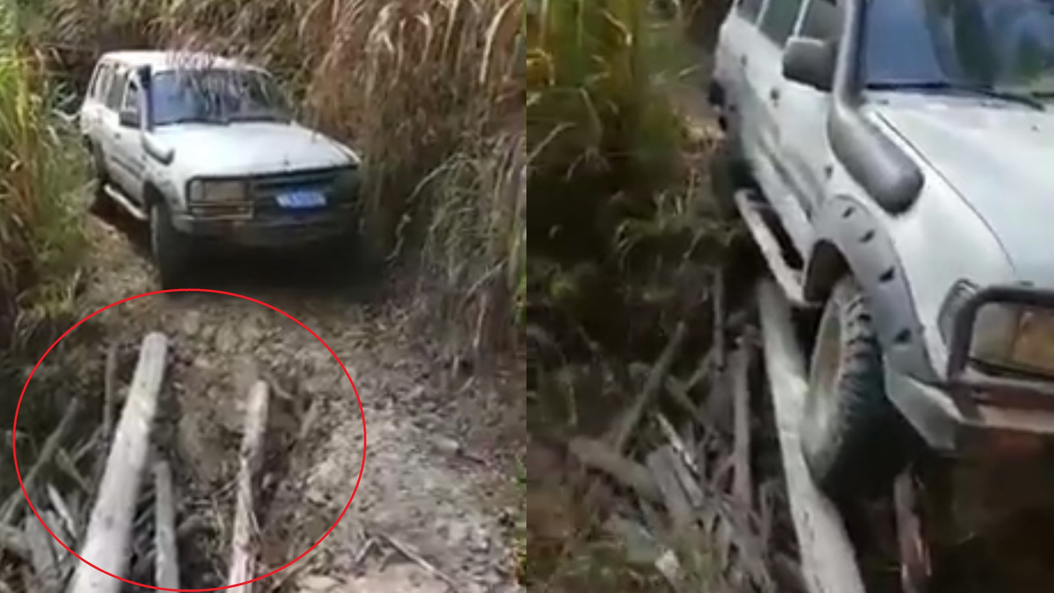 Tai xe lai oto tren khuc go di qua duong bi sat lo hinh anh