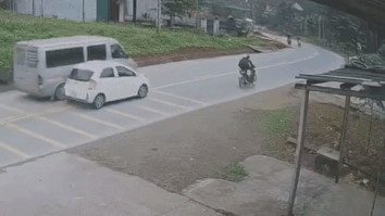 Xe khach vuot au mat lai roi lao vao bui cay hinh anh