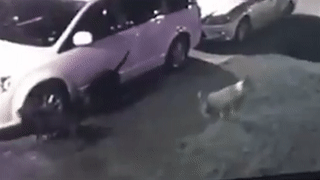 Dan cho hoang cao pha oto, chu xe ton tien sua chua hinh anh