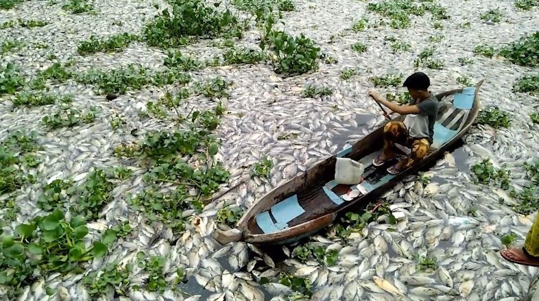 70 tan ca chet noi tren mat ho bi o nhiem o Indonesia hinh anh