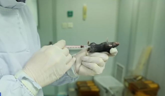 Thu nghiem vaccine chong virus corona hinh anh