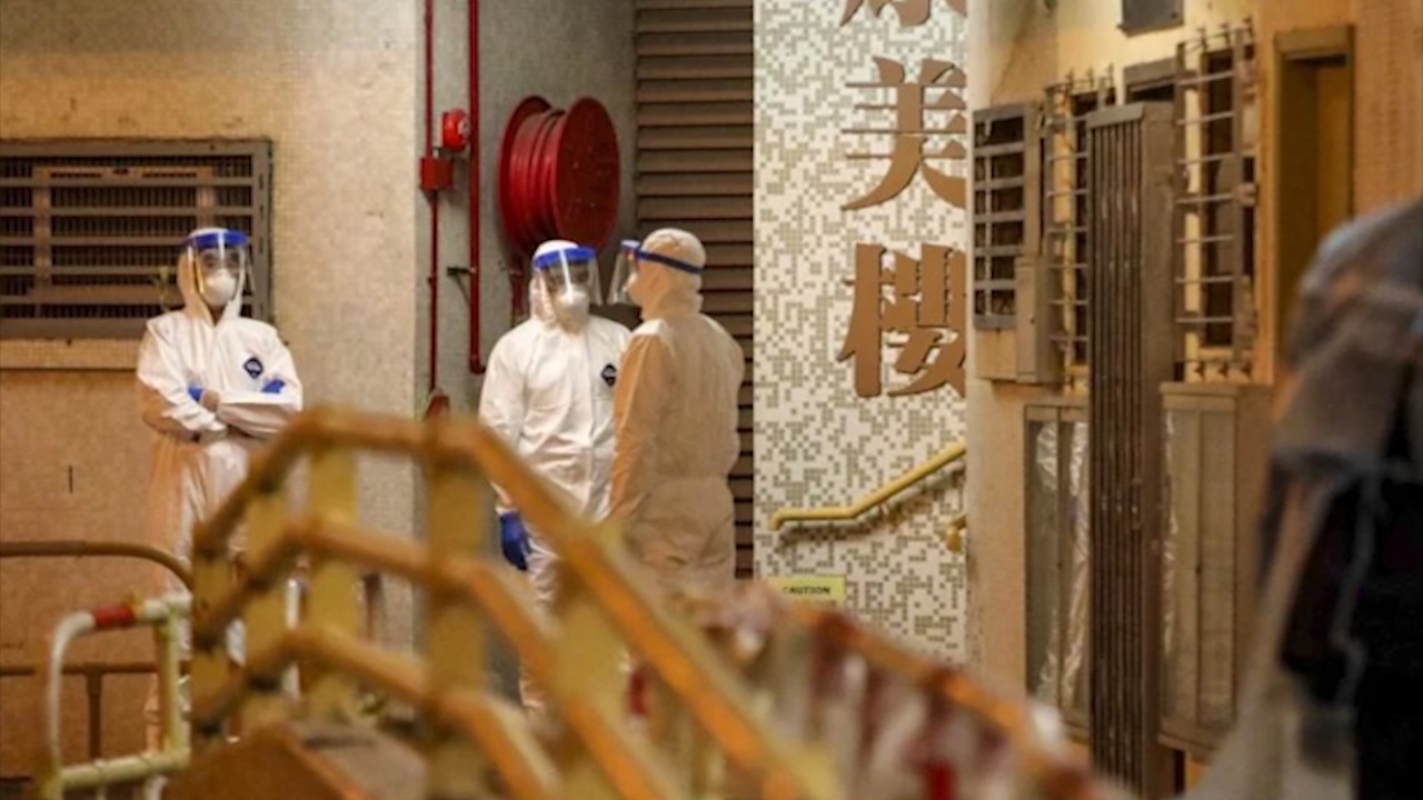 Hong Kong so tan cu dan vi nghi lay virus corona qua duong ong hinh anh