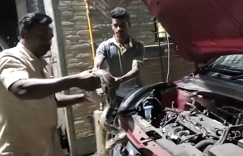 Con tran mac ket trong khoang dong co oto hinh anh