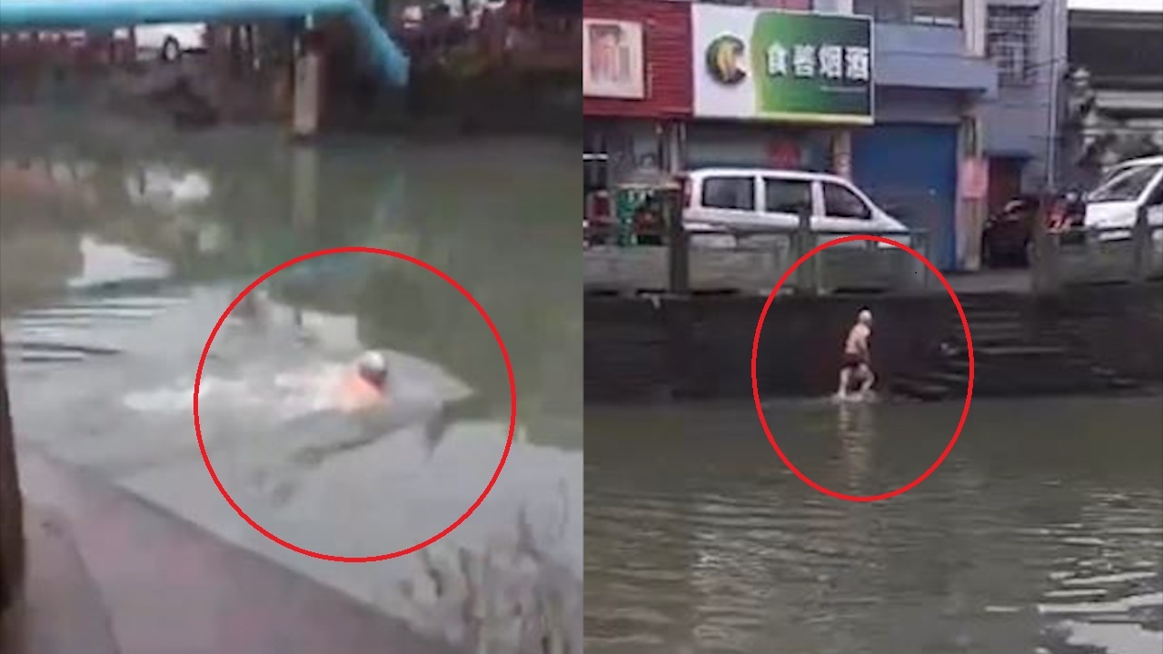 Cu gia boi qua song de tranh tram kiem tra chong dich Covid-19 hinh anh