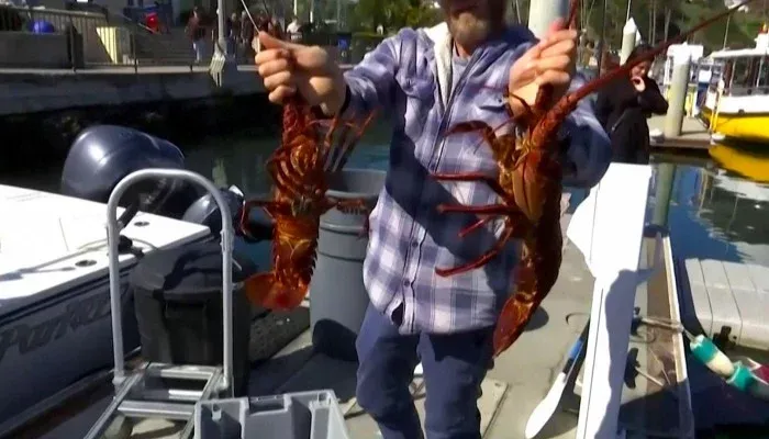 Tom hum California thanh 'nan nhan' cua dich virus corona hinh anh