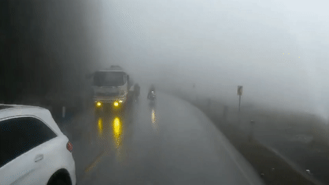 Xe may suyt chet khi nga truoc dau oto hinh anh