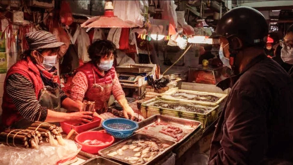 Virus corona khong bat nguon tu cho hai san Vu Han hinh anh