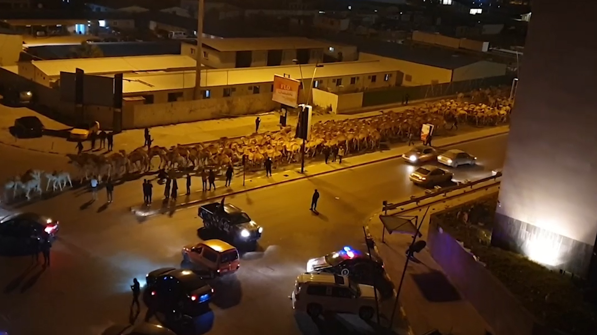 3.000 con lac da o Tripoli so tan trong dem vi phao kich hinh anh