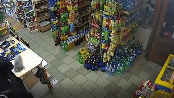 Cu ba cam choi lau nha danh duoi ten cuop cam sung hinh anh