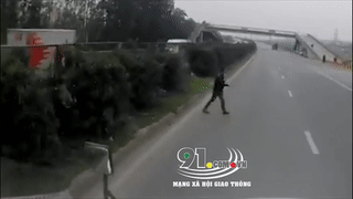 Nguoi dan ong lao ra tu bui cay bat ngo suyt bi container dam hinh anh