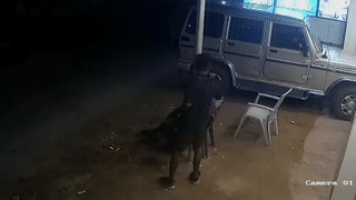 Ten trom giat dien thoai cua bao ve dang ngu hinh anh