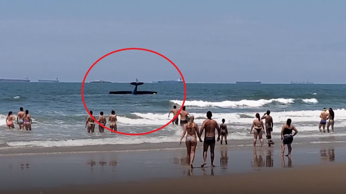 May bay ha canh khan cap roi xuong bien hinh anh