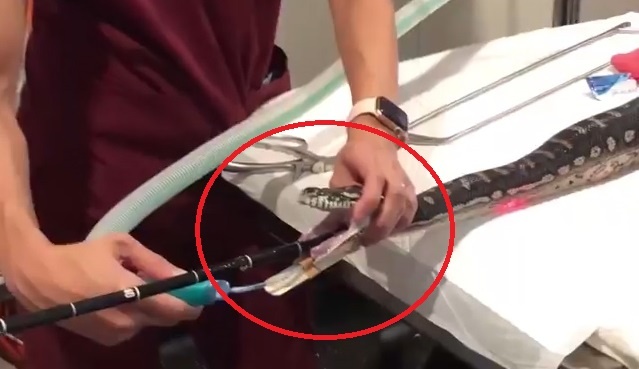 Tran tham 3 m nuot chung chiec khan tam hinh anh