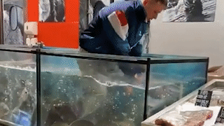 Co gai nem nhan cau hon xuong be ca khien chang trai lao vao tim hinh anh