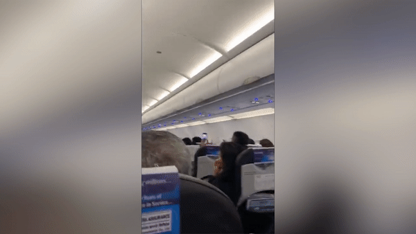 Chuyen bay bi tri hoan 30 phut vi chu chim bo cau 'len' vao may bay hinh anh