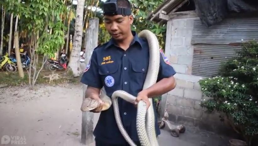 Cuu ho quay lai canh bat ran ho mang chua dai 4 m hinh anh