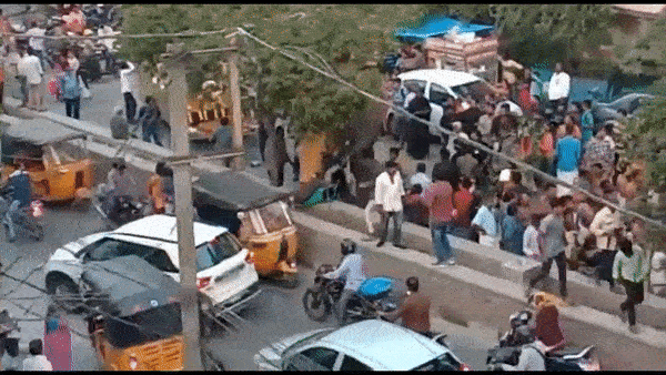 Voi bat ngo tan cong nguoi trong le hoi o An Do hinh anh