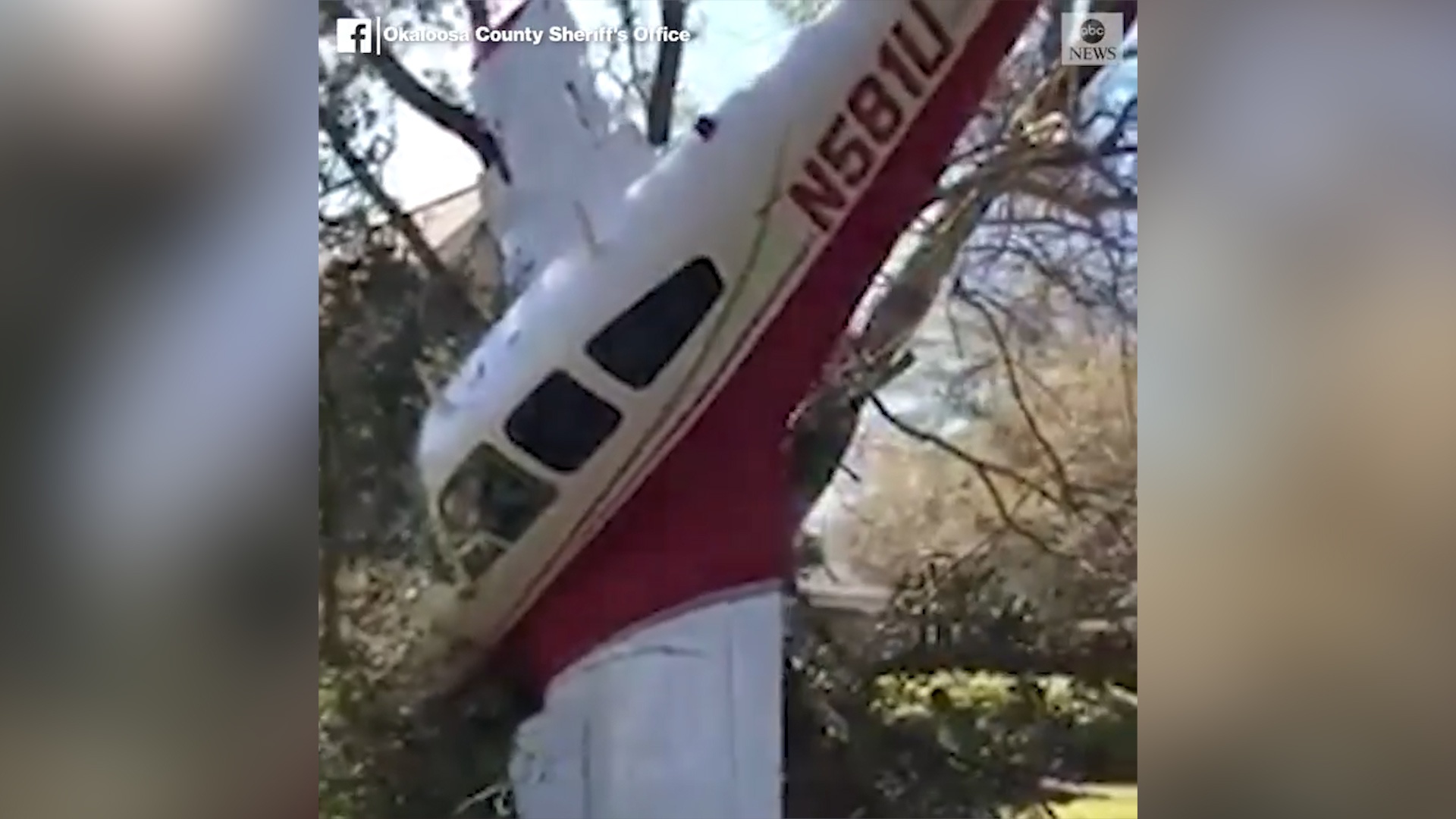 May bay mac ket vao than cay khi dang ha canh o My hinh anh