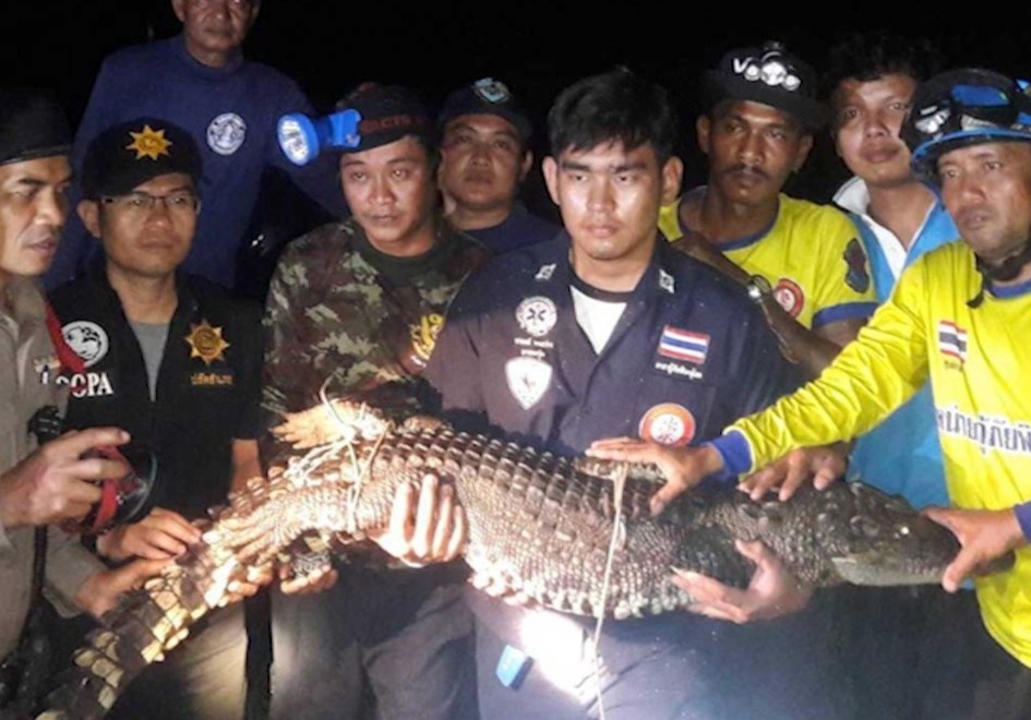 Con ca sau bi bat sau 5 ngay tron khoi ngoi chua Thai hinh anh