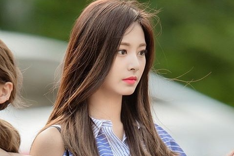 Dan nghe si huy tour vi dich benh hinh anh