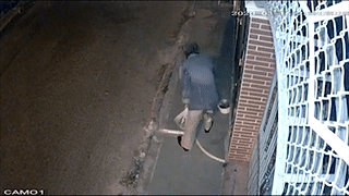 Nguoi dan ong trom chau cay luc dem khuya hinh anh