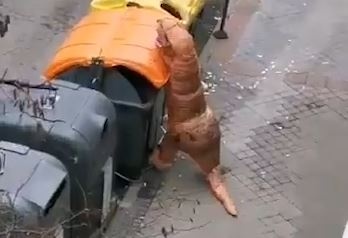 Mac do khung long T-Rex ra duong de tranh dich benh hinh anh