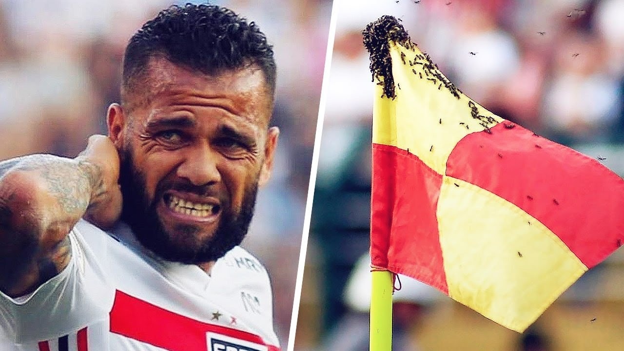 Cac ngoi sao bong da bi dong vat tan cong hinh anh