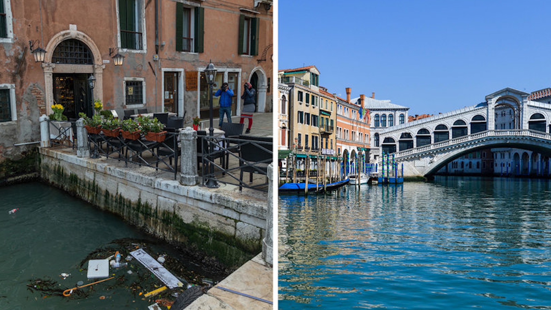 Dich Covid-19 bien doi the gioi nhu the nao? hinh anh