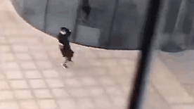 Gio lon cuon bay nguoi di duong o Trung Quoc hinh anh