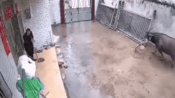 Trau lien tuc huc nguoi dan ong trong luc hoang so hinh anh