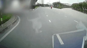 Xe may bi oto tong trung vi qua duong au hinh anh