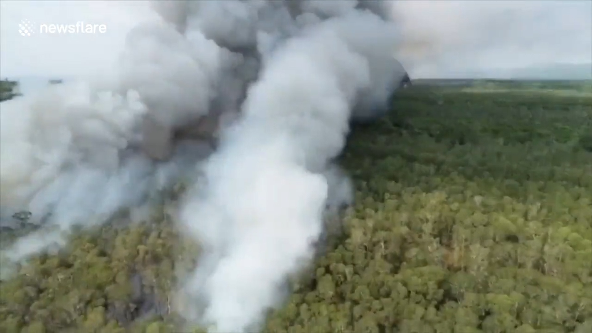 Chay du doi o cong vien quoc gia Chao Mai cua Thai hinh anh