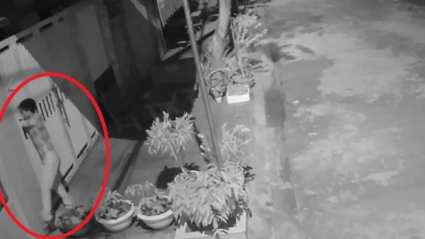 Trom chim giua khuya hinh anh