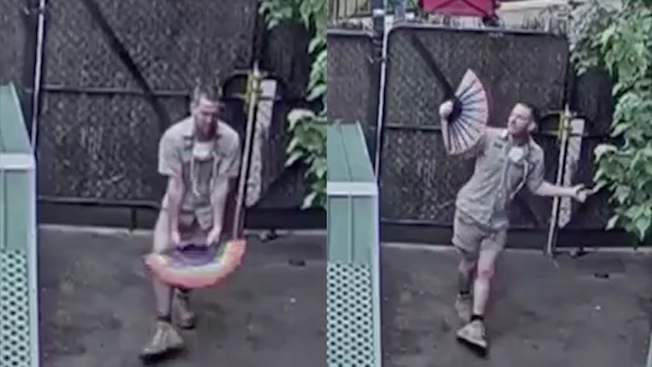 Nhan vien so thu mua quat canh chuong huou hinh anh