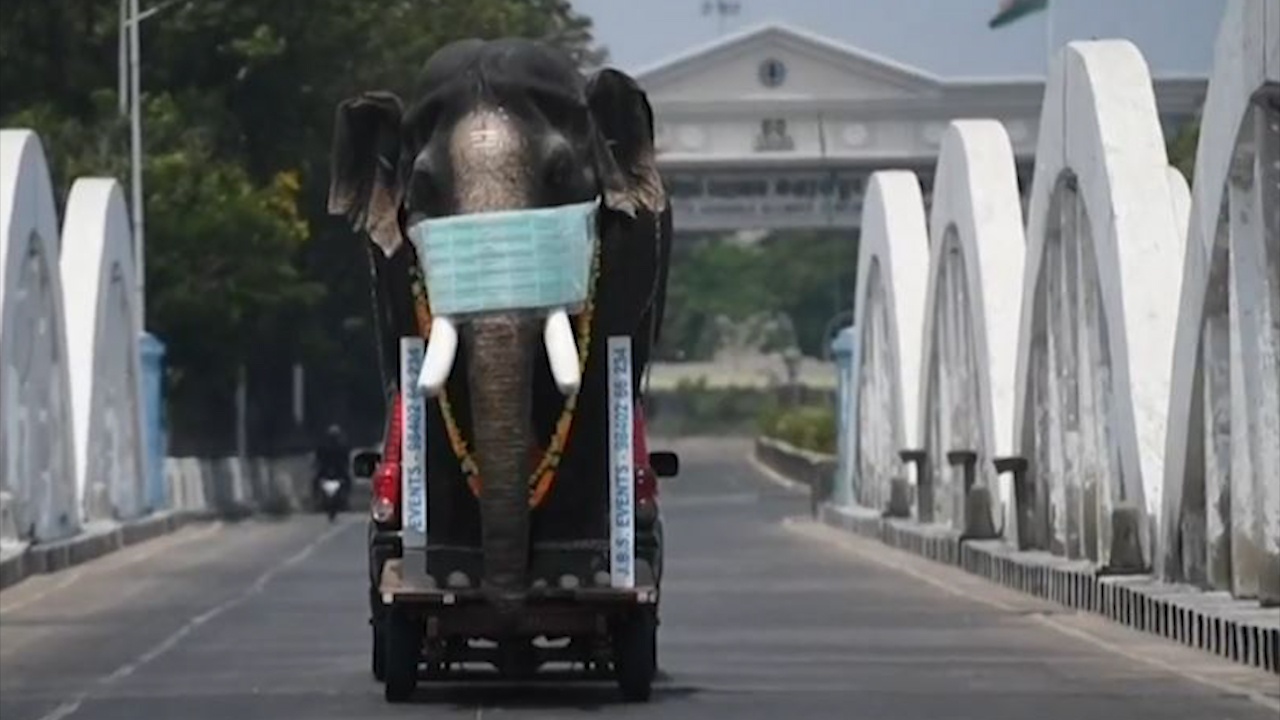 'Voi deo khau trang' khuyen khich nguoi dan chong Covid-19 hinh anh