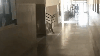 Bao dom xong vao truong hoc tru an, tan cong nhan vien an ninh hinh anh