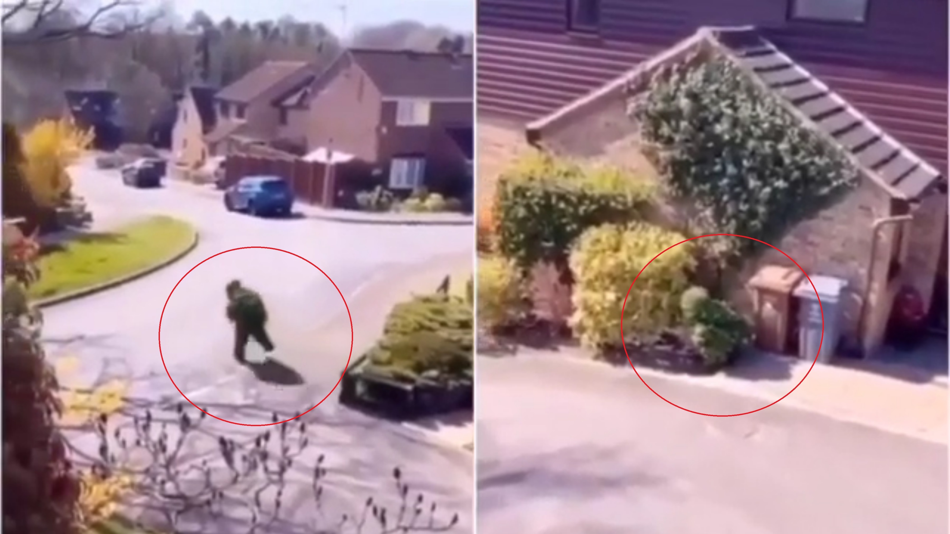 Nguoi dan ong hoa trang thanh cay de tron cach ly hinh anh