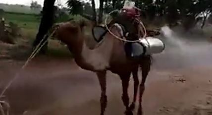 Dung lac da de khu trung duong pho Pakistan hinh anh
