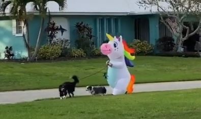 Nguoi phu nu mac trang phuc ky lan dat cho di dao trong mua dich hinh anh