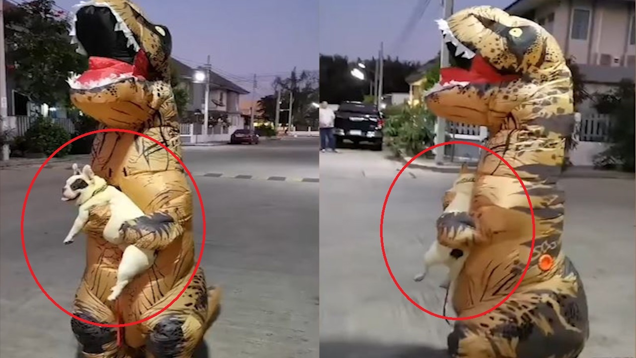 'Khung long T-Rex' am cho di dao giua dich Covid-19 hinh anh