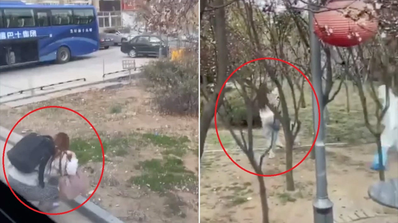 Co gai bi bat vi nhay khoi xe tron cach ly hinh anh