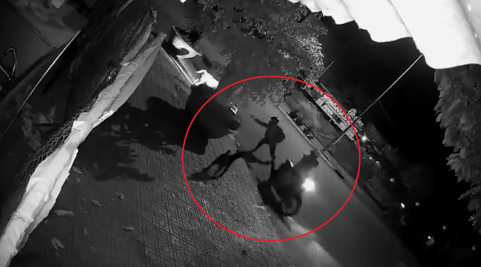 'Cau tac' dung sung dien ban 2 con cho hinh anh