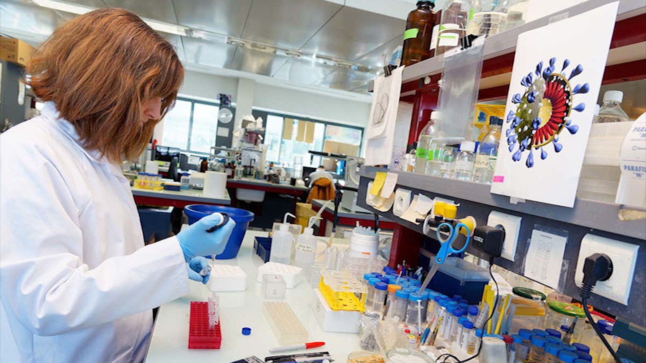 Viet Nam nghien cuu dung huyet tuong tri virus corona hinh anh