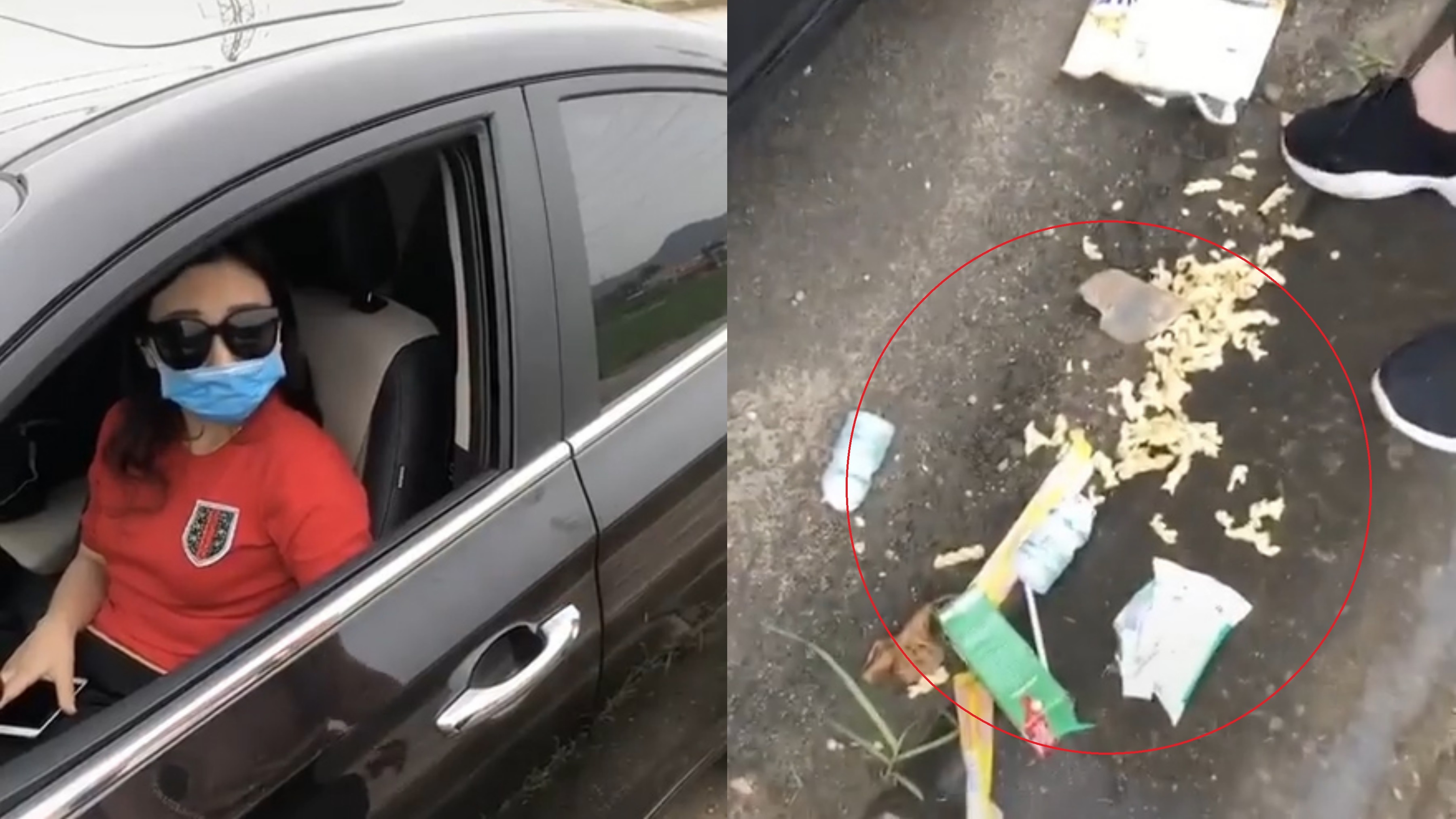 Nguoi phu nu lai oto dung xe nguoc chieu vut rac xuong duong hinh anh