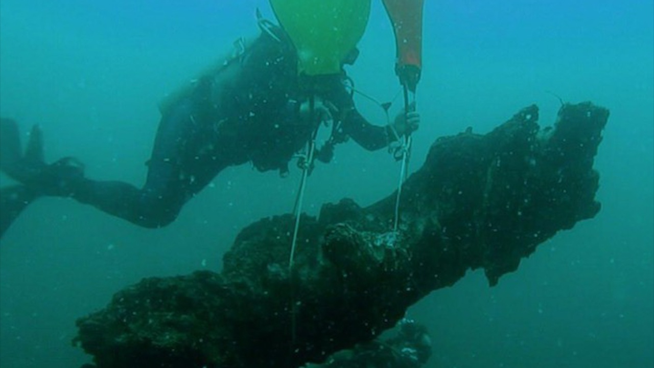 Khu rung co dai 60.000 nam duoc phat hien duoi day dai duong hinh anh