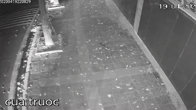 Nam thanh nien say ruou phong xe may dam vao goc cay hinh anh