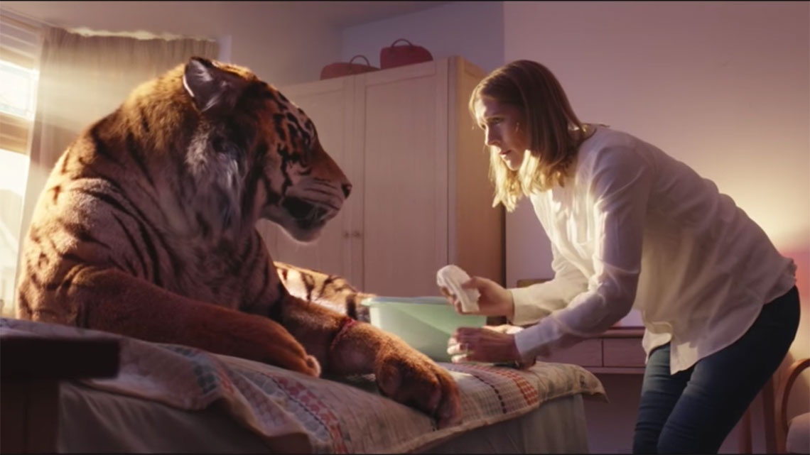 The gioi an sau 'Tiger King' - ly do o My co nhieu ho hinh anh