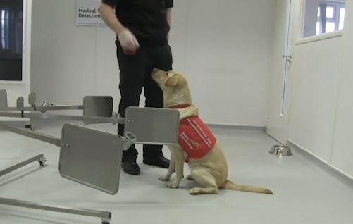 Cho co the phat hien nguoi nhiem Covid-19 khong? hinh anh