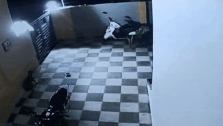 Bao phi qua hang rao vao nha dan hinh anh