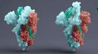 Tin vui vaccine Covid-19 tu Duc hinh anh